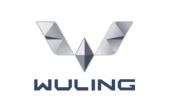 Wuling Motors Nepal
